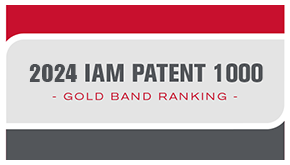 2024 IAM Patent 1000